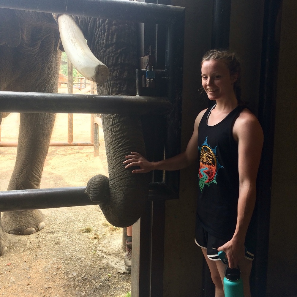 Meet your Posher, Jessamy